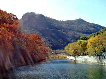 2004新澳门天天开好彩，田园风情生态鱼缸